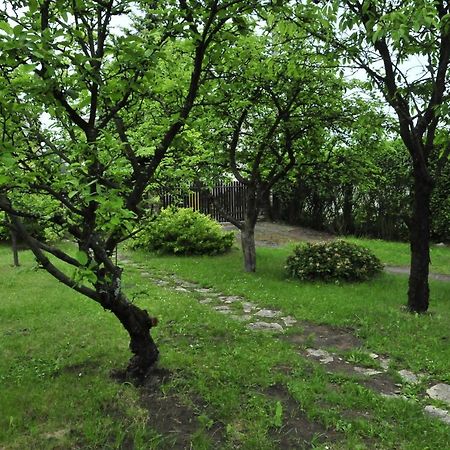 Szyszka I Roza Domek Na Jurze Zelazko Экстерьер фото